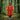 WarriorGear.eu orange survival poncho with hood, worn by a woman in a rainy forest. Emergency gear.